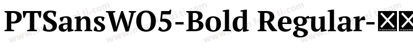 PTSansWO5-Bold Regular字体转换